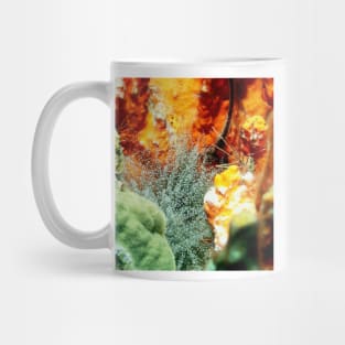 Corkscrew Anemone and Arrow Crab Coral Reef Grotto Mug